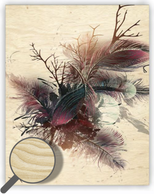 Dřevěný obraz  Feathers
